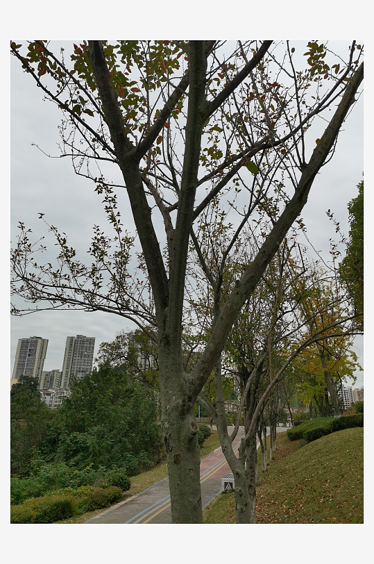 清新生态的休闲公园-众图网