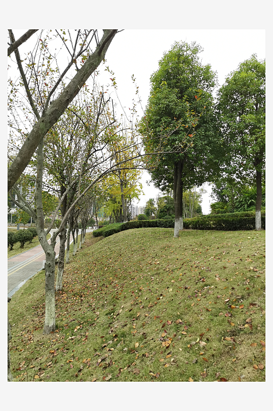 清新生态的休闲公园-众图网