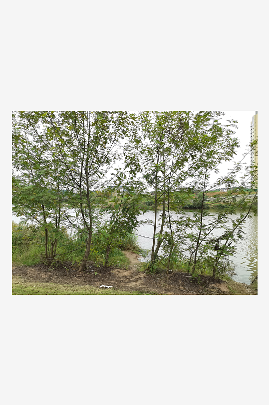 舒适生态的休闲公园-众图网