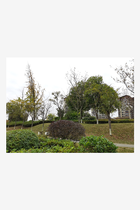 舒适生态的休闲公园-众图网