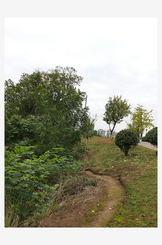 舒适宜居的休闲公园-众图网