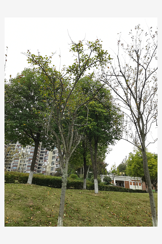 舒适宜居的休闲公园-众图网