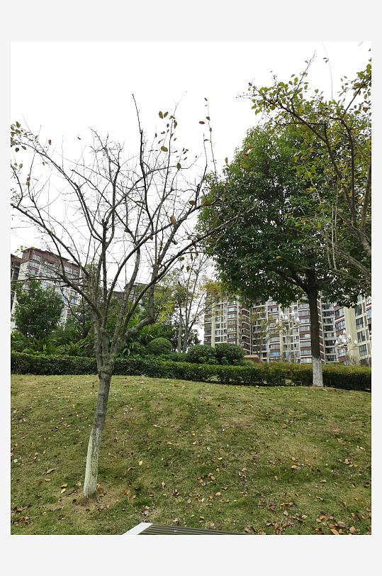 舒适宜居的休闲公园-众图网