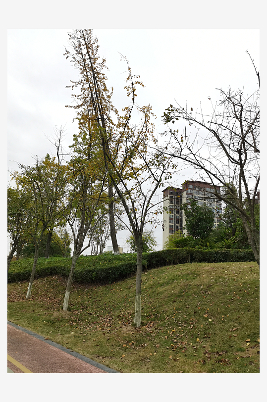 舒适宜居的休闲公园-众图网