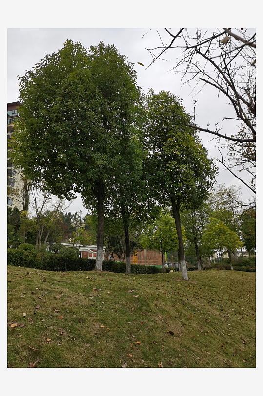 舒适宜居的休闲户外-众图网