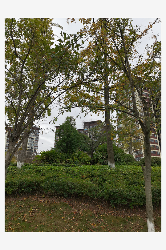 舒适宜居的休闲户外-众图网