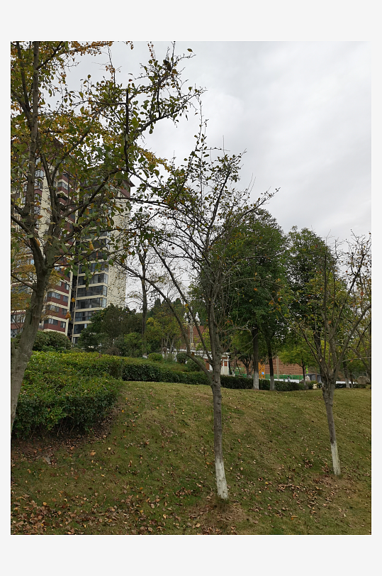 舒适宜居的休闲户外-众图网