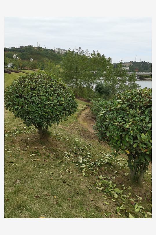 舒适宜居的城市户外-众图网