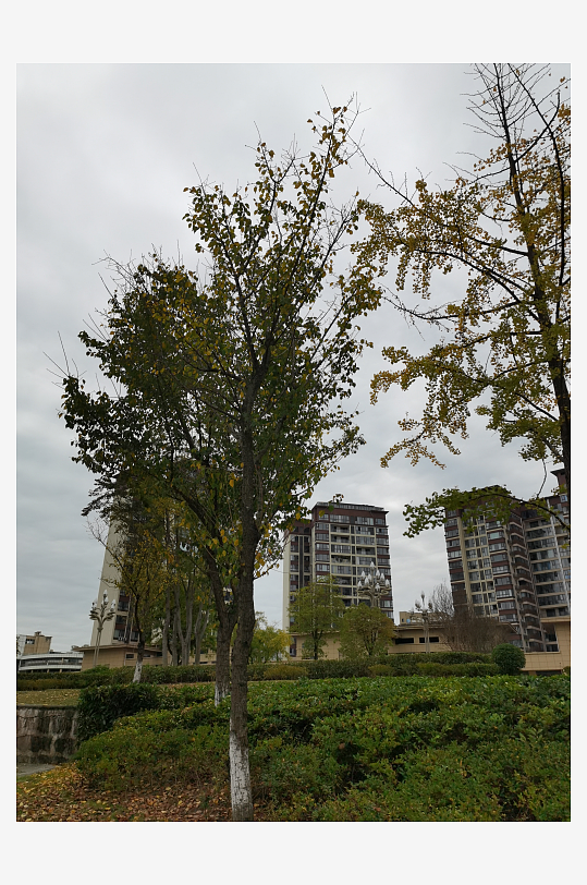 舒适宜居的城市户外-众图网