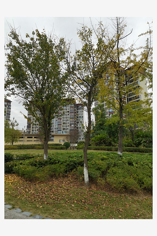 舒适宜居的城市户外-众图网