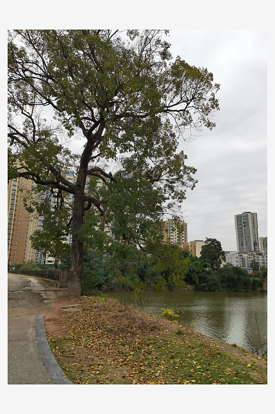 宜居的休闲城市环境-众图网