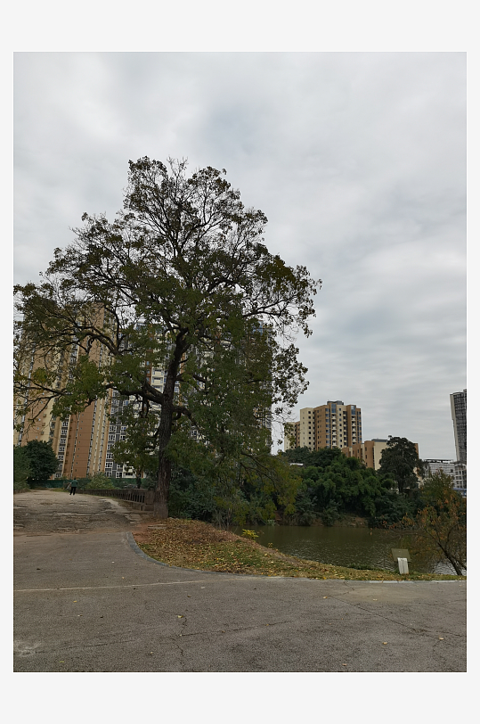 宜居的休闲城市环境-众图网