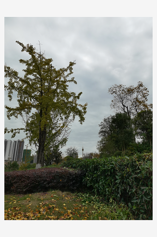 宜居的休闲城市环境-众图网