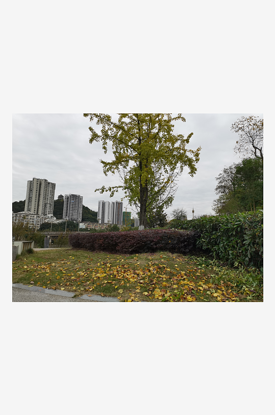 宜居的休闲城市环境-众图网