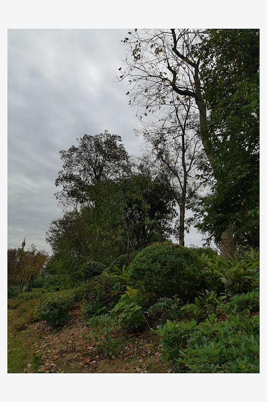 清新舒适的户外环境-众图网