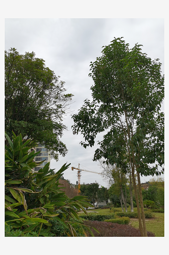 清新舒适的户外环境-众图网