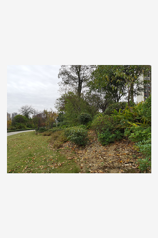 清新舒适的户外环境-众图网