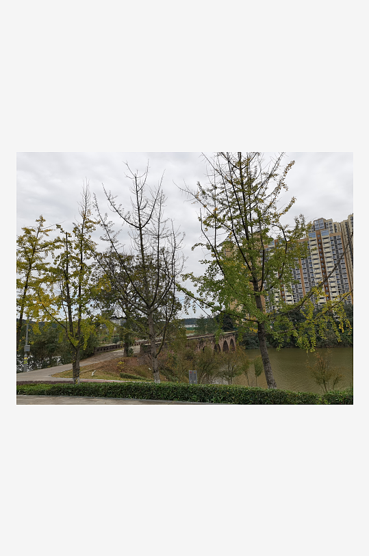 清新舒适的户外环境-众图网