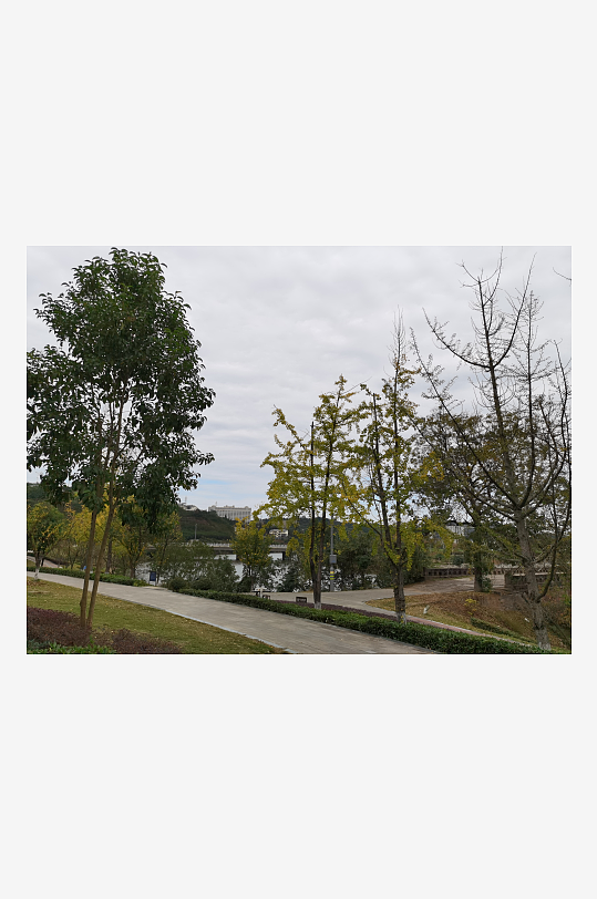 清新舒适的户外环境-众图网