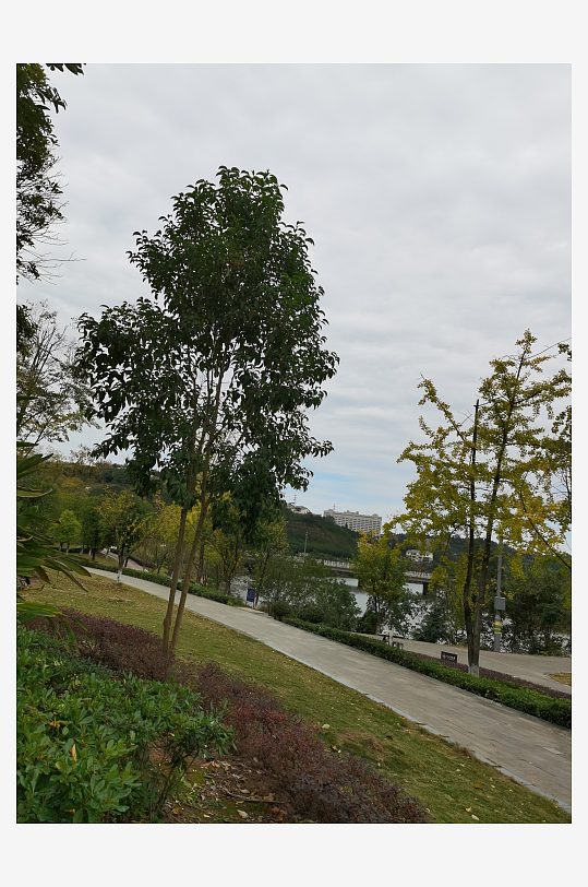 清新舒适的户外环境-众图网