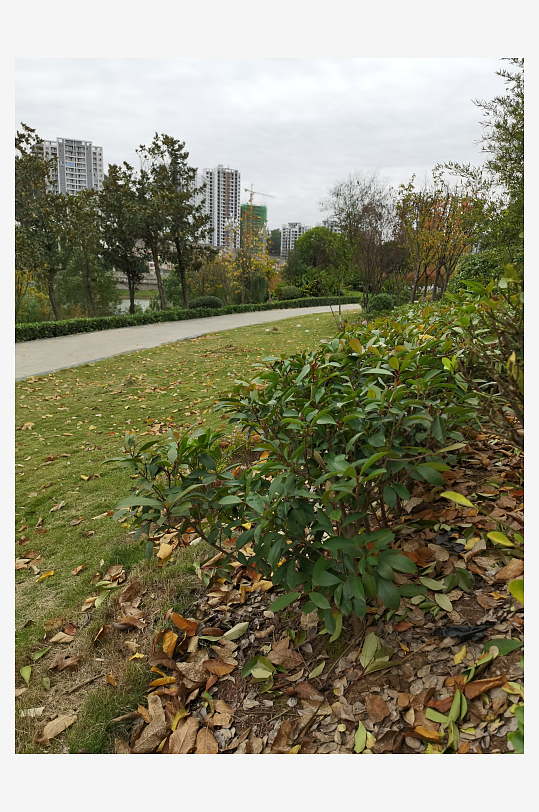 清新舒适的户外环境-众图网