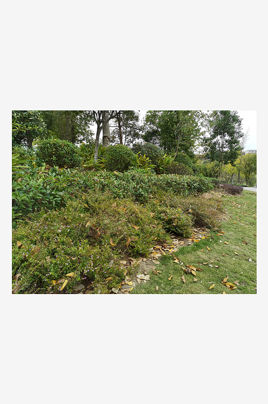 清新舒适的户外环境-众图网