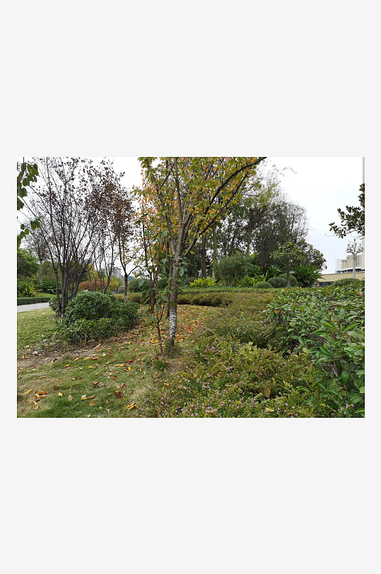 清新宜人的户外环境-众图网