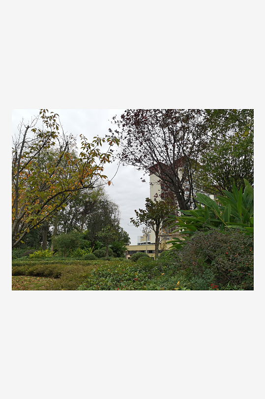 清新宜人的户外环境-众图网