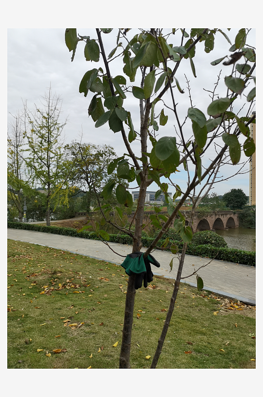 清新宜人的户外环境-众图网