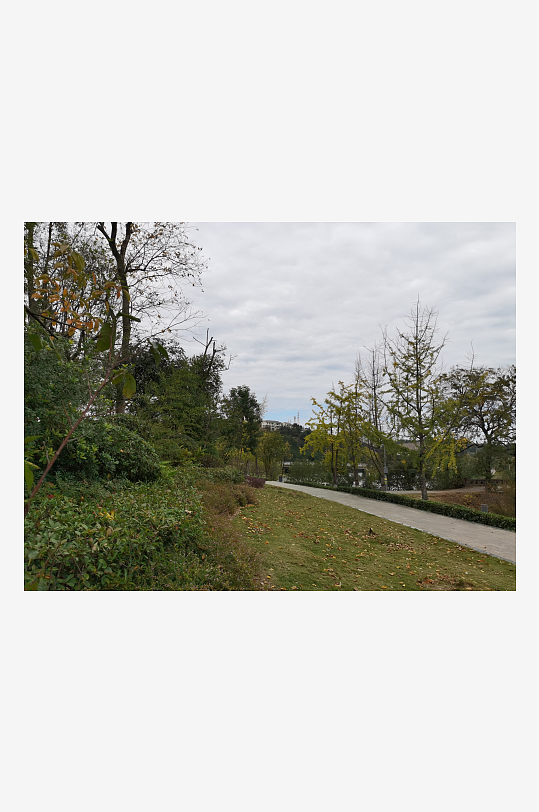 清新宜人的户外环境-众图网