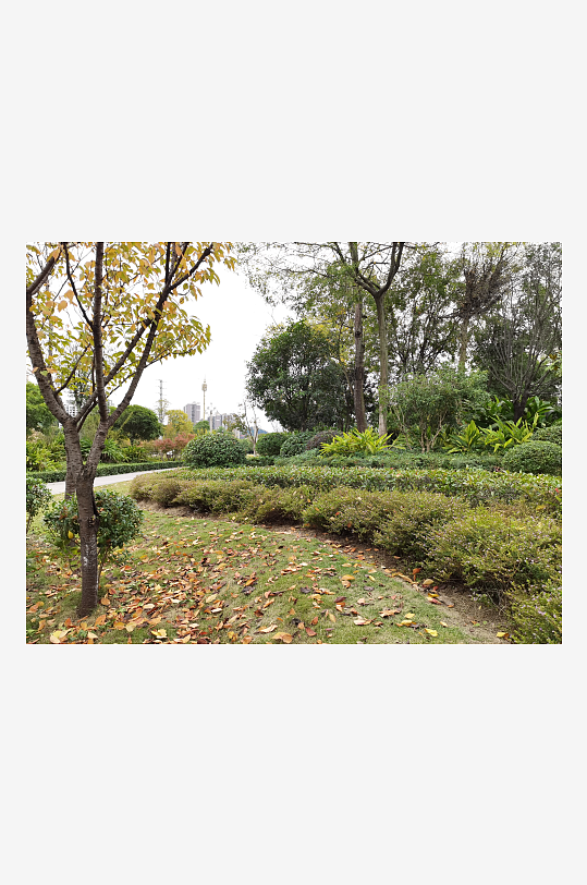 清新宜人的户外环境-众图网