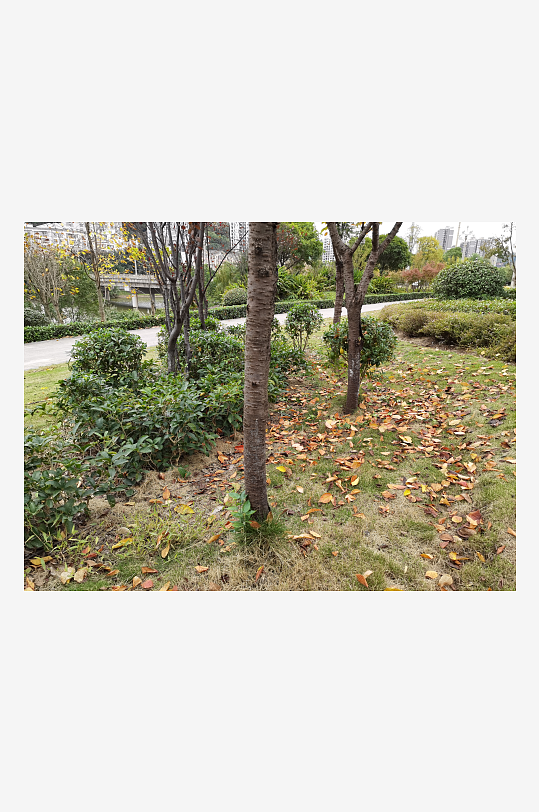 清新宜人的户外环境-众图网