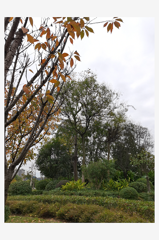 清新宜人的户外环境-众图网