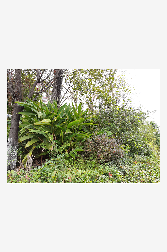 清新宜人的户外环境-众图网