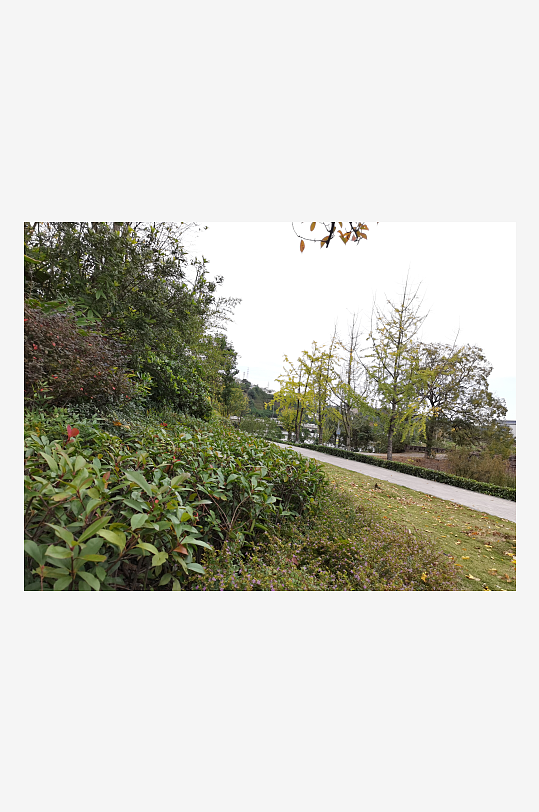 清新宜人的户外环境-众图网