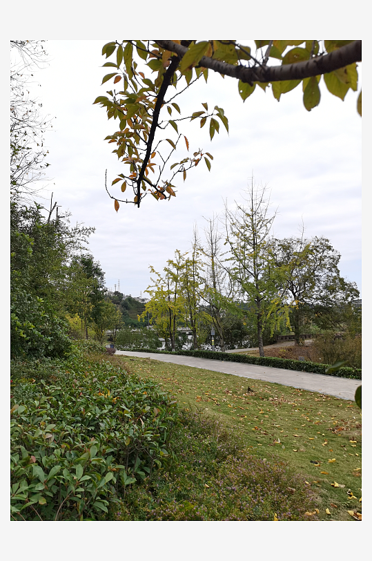 清新宜人的户外环境-众图网