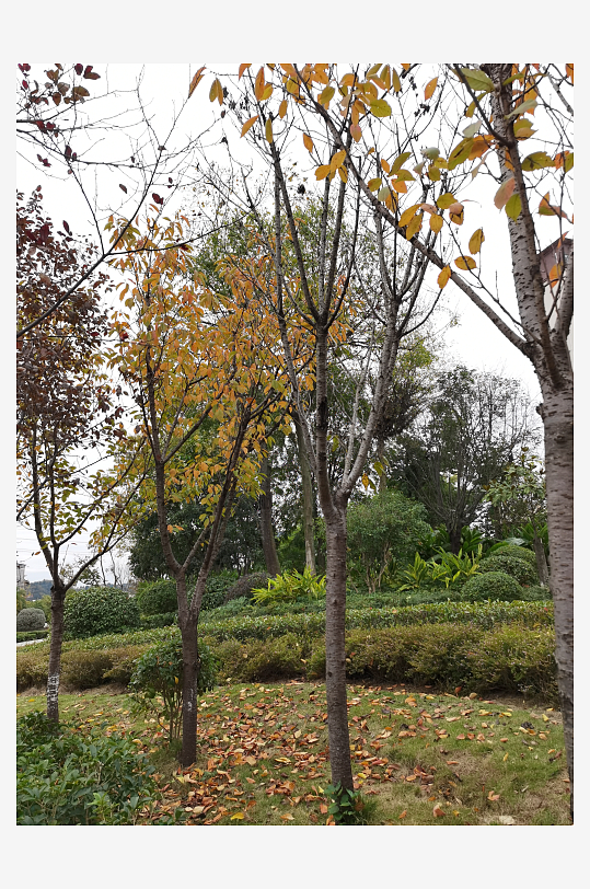 清新宜人的户外环境-众图网