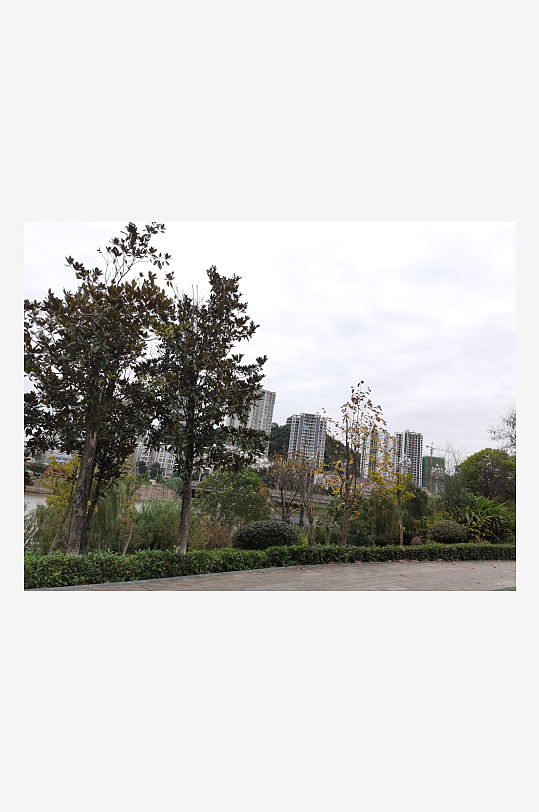 清新宜人的户外环境-众图网