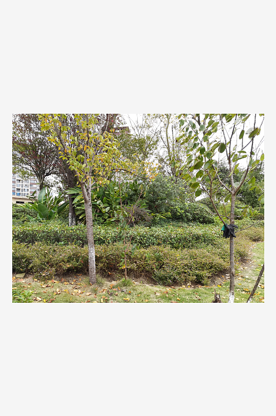 清新自然的户外环境-众图网