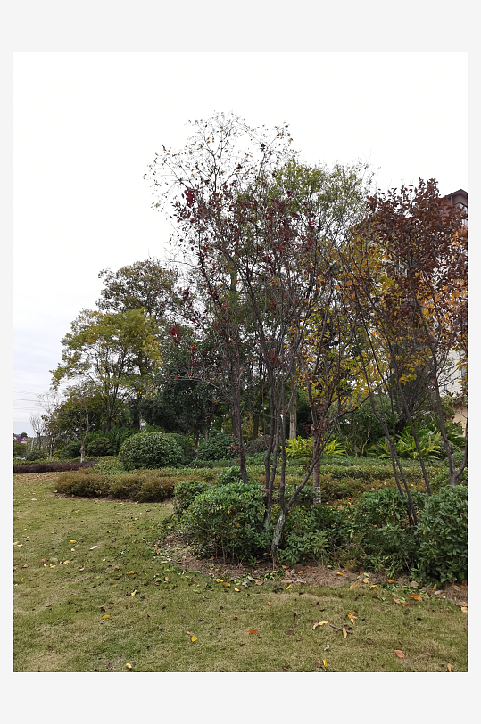 清新自然的户外环境-众图网