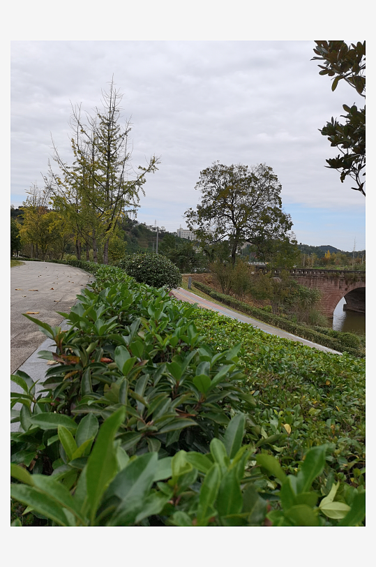 清新自然的户外环境-众图网