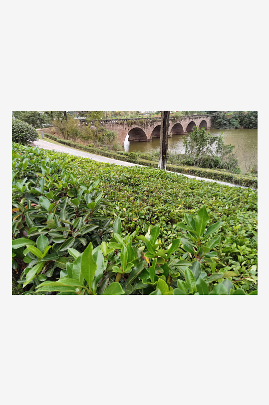 清新自然的户外环境-众图网