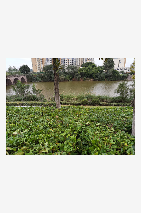 清新自然的户外环境-众图网