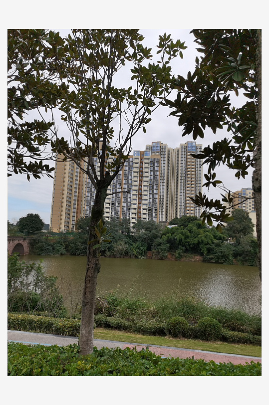 清新自然的户外环境-众图网