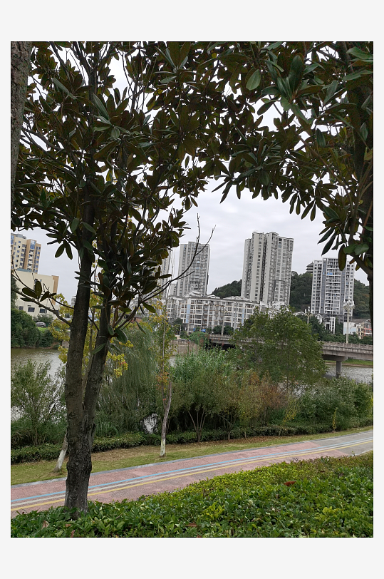 清新自然的户外环境-众图网