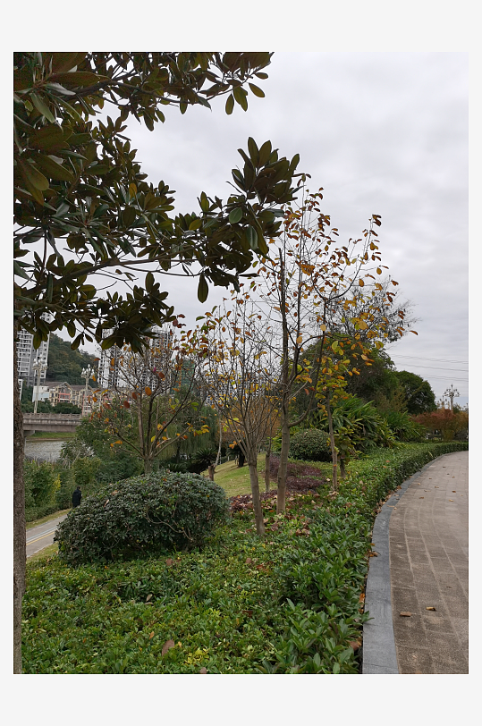 清新自然的户外环境-众图网