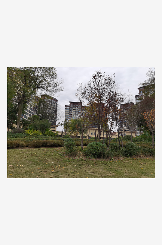 清新自然的户外环境-众图网