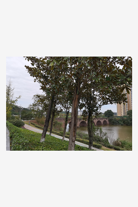 清新自然的户外环境-众图网