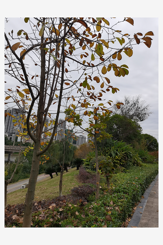 清新自然的户外环境-众图网