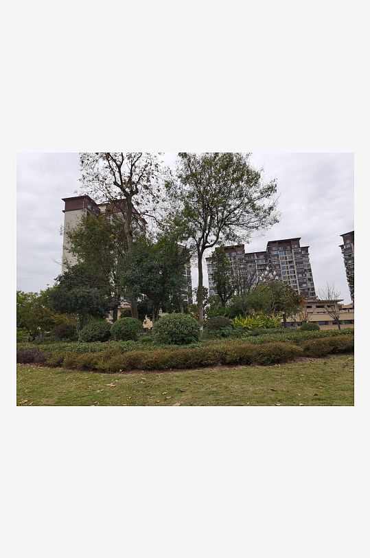 清新自然的户外环境-众图网